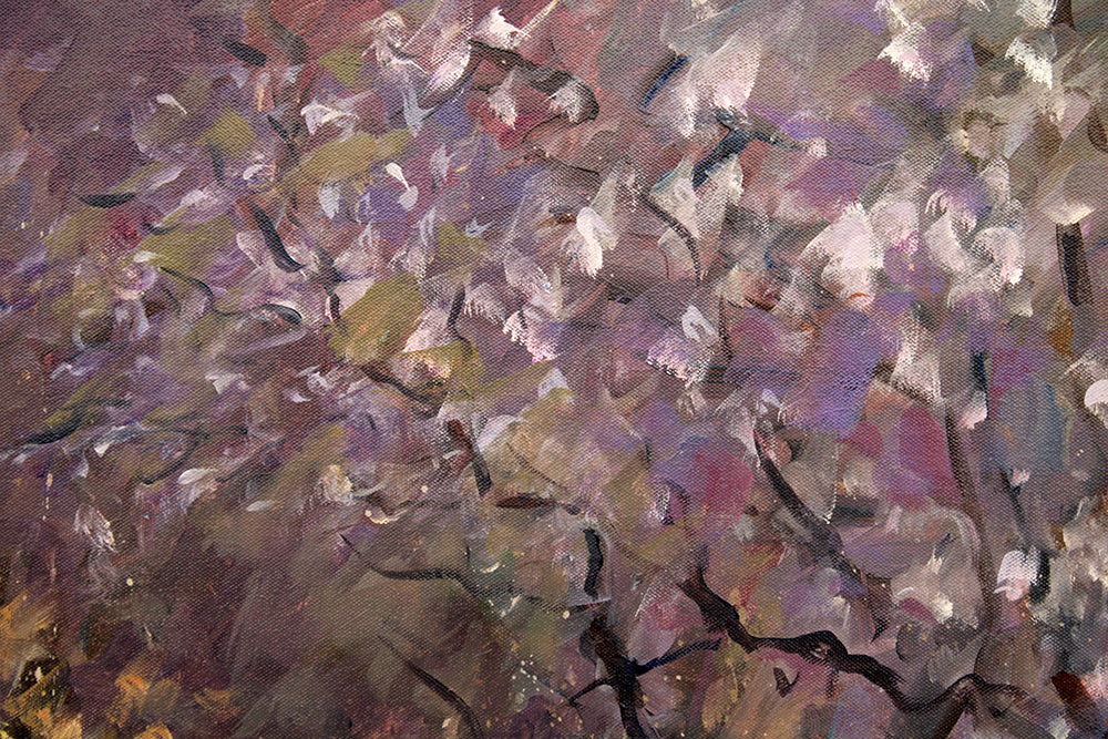 Summer Bloom, Lagan Valley