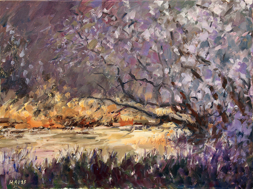 Summer Bloom, Lagan Valley