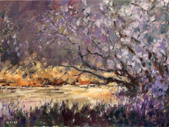 Summer Bloom, Lagan Valley