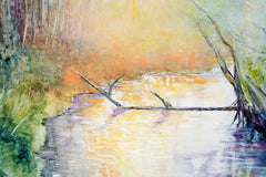 Sunset After The Rain