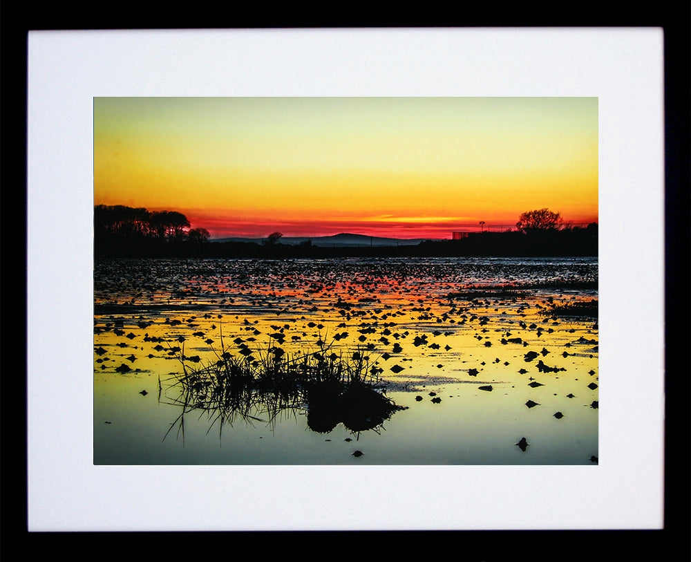 Sunset Over Greyabbey Black Box Frame