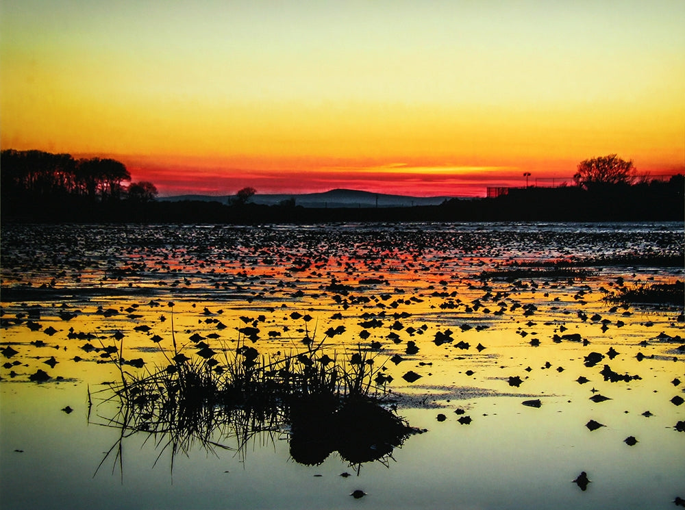 Sunset Over Greyabbey Unframed