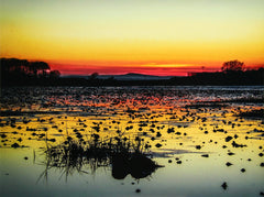 Sunset Over Greyabbey Unframed
