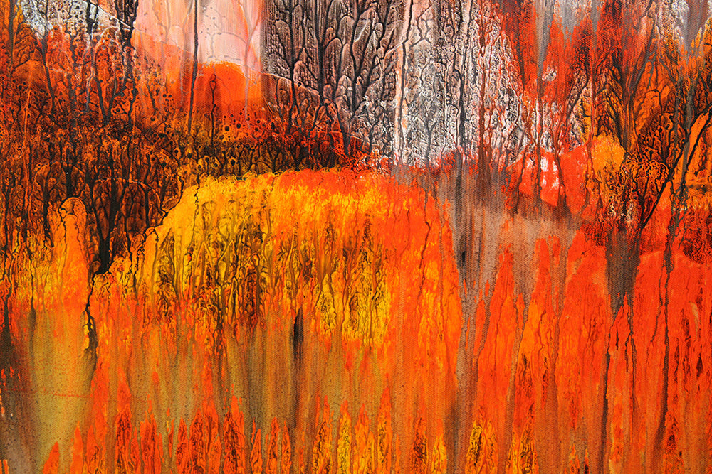 Sunset Over The Forest