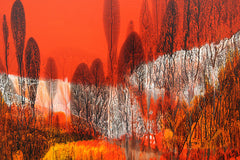 Sunset Over The Forest