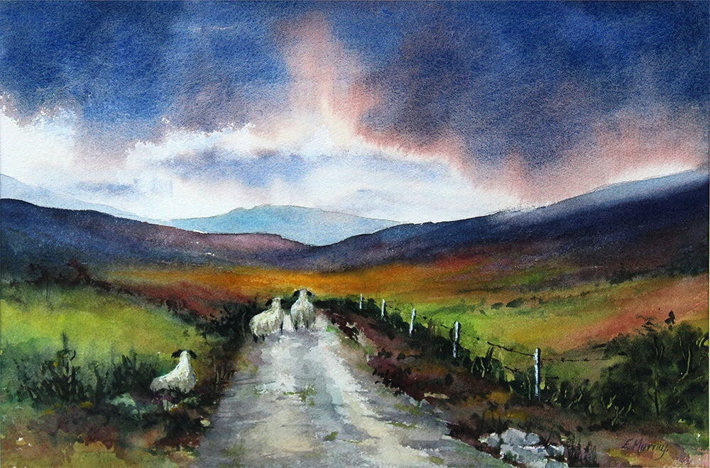 Sunset Stroll