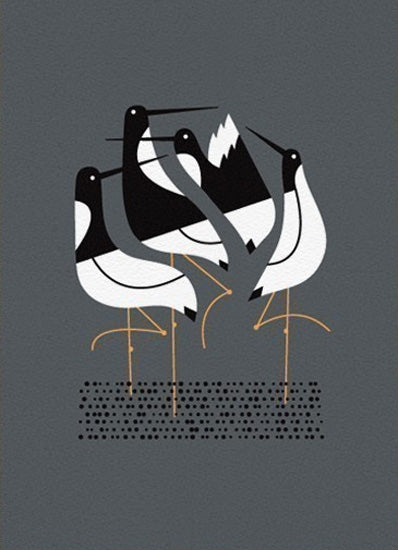 Terns (Grey) Unframed