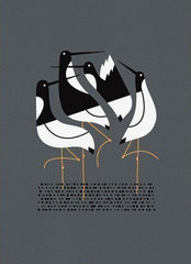 Terns (Grey) Unframed