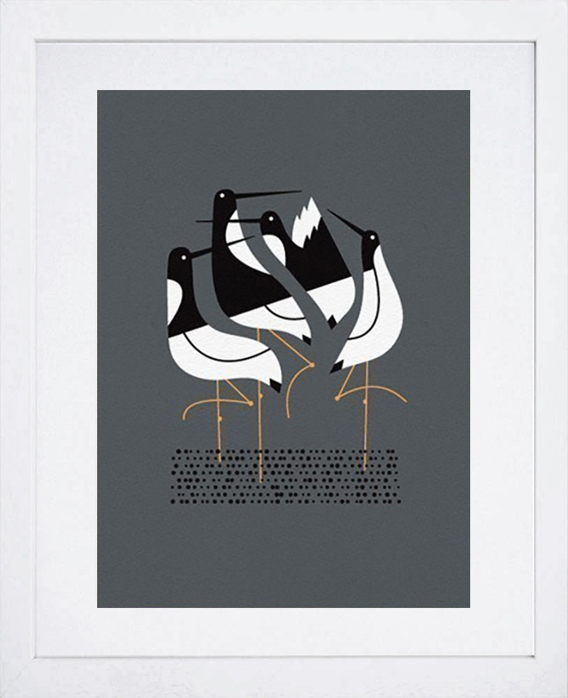 Terns In Grey-White Frame