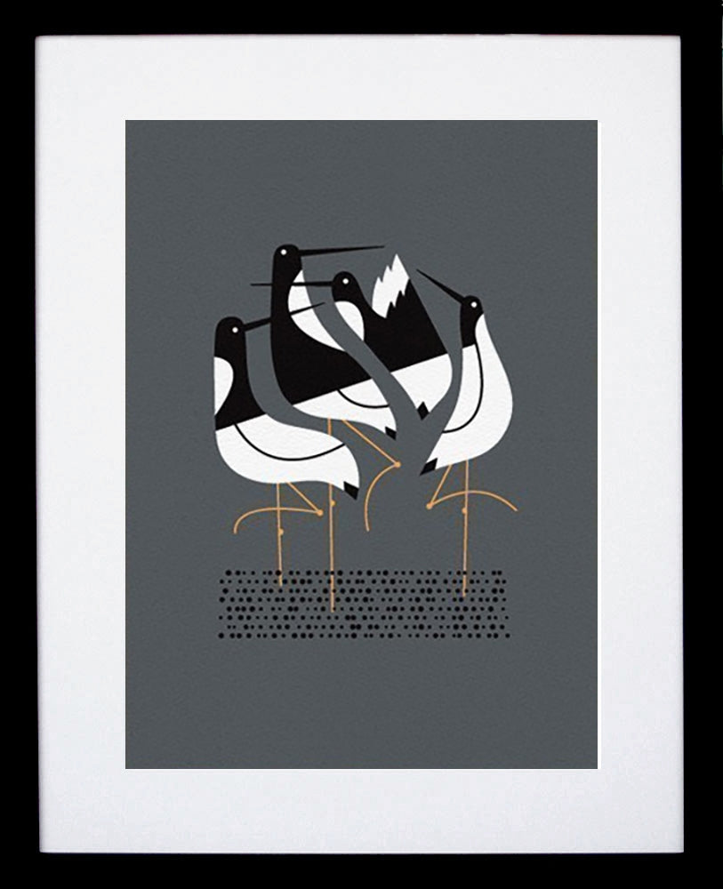Terns (Grey) Black Frame