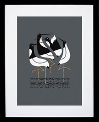 Terns (Grey) Black Frame