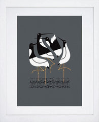 Terns In Grey-White Frame