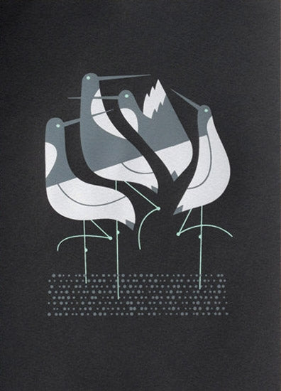 Terns (Black) Unframed