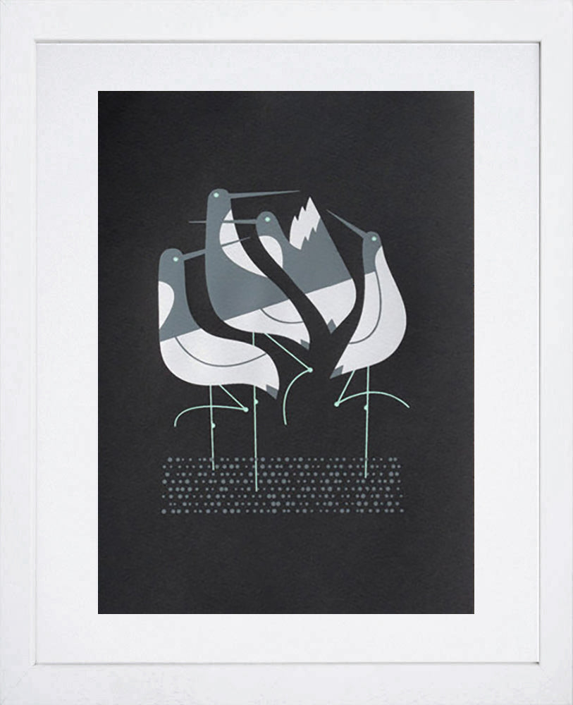 Terns In Black-White Frame