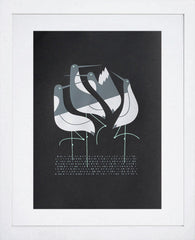 Terns In Black-White Frame