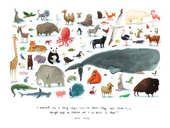 The Animals Unframed