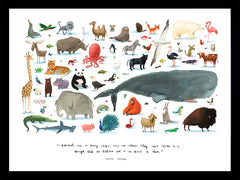 Books - The Animals Black Box Frame - Not Dry Mounted