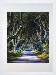 Co Antrim - Dark Hedges Frame White 40x50