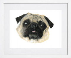 The Stare, Pug White Frame