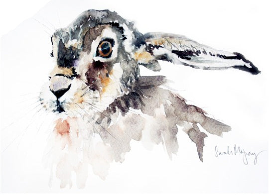 Animals Hare - The Watcher Unframed