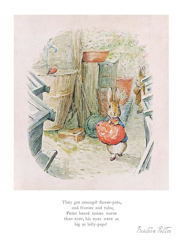 Peter Rabbit - They Got Amongst Flower-Pots
