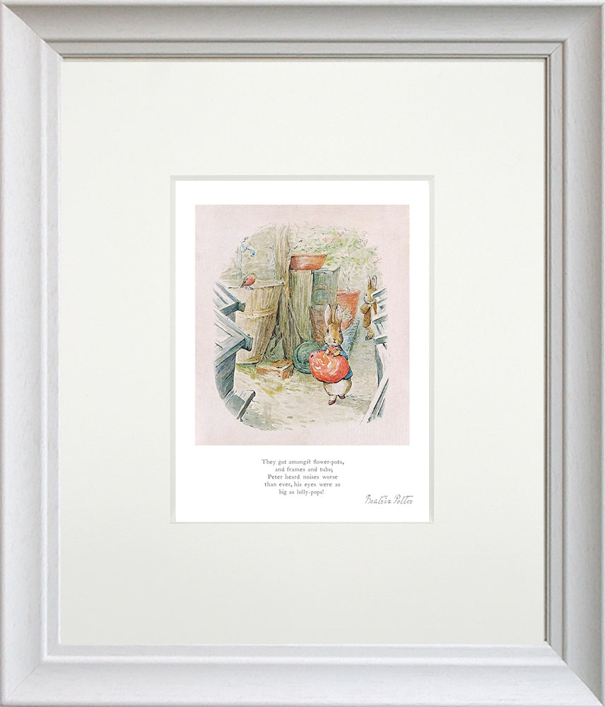 Peter Rabbit - They Got Amongst Flower-Pots - Framed