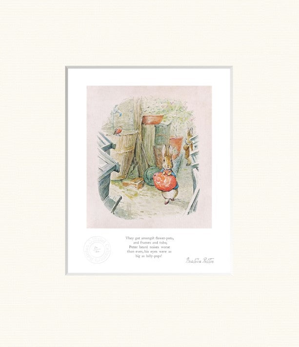 Peter Rabbit - They Got Amongst Flower-Pots - Unframed