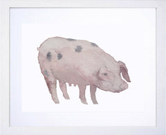 Animals Pig - This Little Piggy White Frame