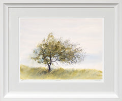 Print - Thorn Tree - Chunky White Frame
