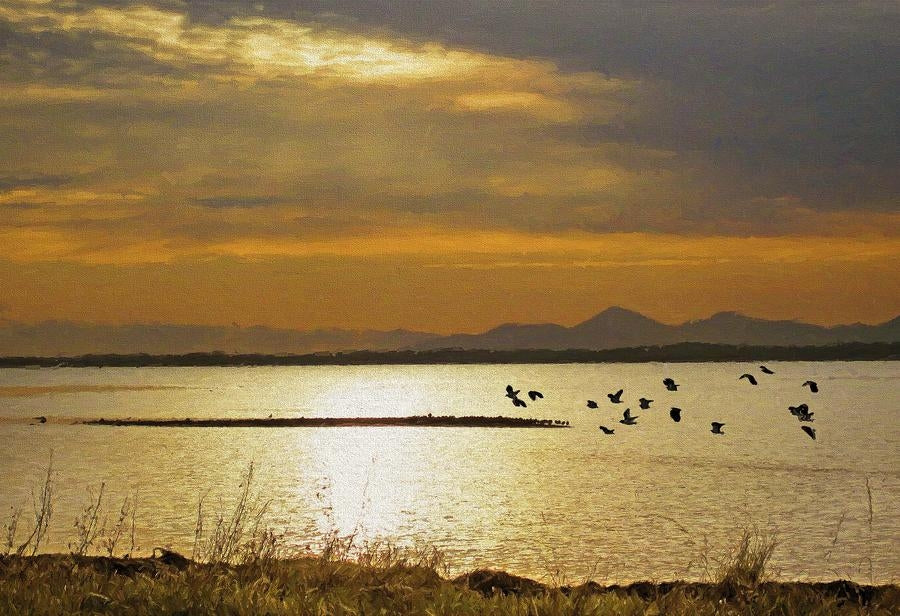 Co Down - Time to Go Strangford Lough