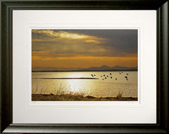 Co Down - Time to Go Strangford Lough Frame Black Moulded 60x47.5