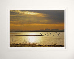 Co Down - Time to Go Strangford Lough Unframed 60x47.5