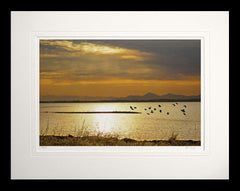 Co Down - Time to Go Strangford Lough Flat Black Frame