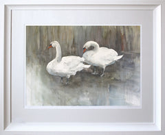 Two Swans, Lagan Towpath Framed