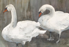 Two Swans, Lagan Towpath