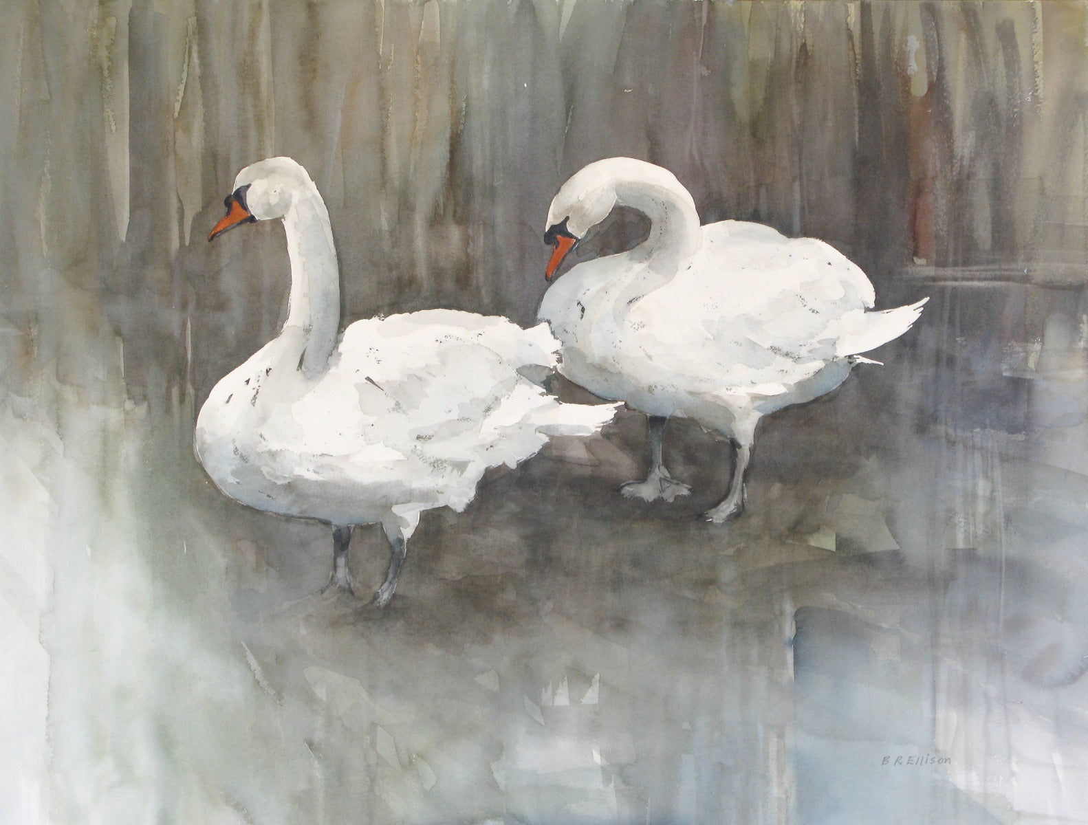 Two Swans, Lagan Towpath Unframed