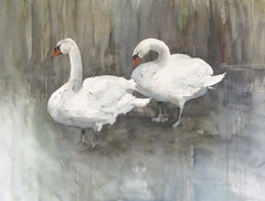 Two Swans, Lagan Towpath Unframed