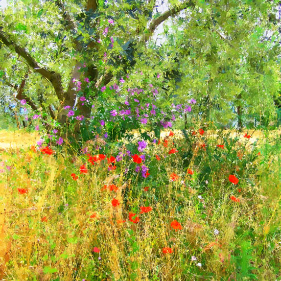 Other - Under The Olive