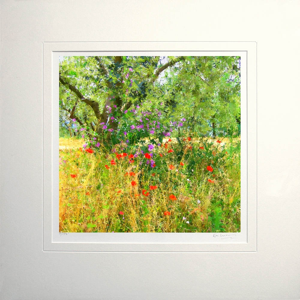 Other - Under The Olive