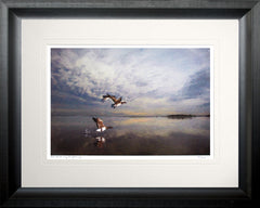 Co Down - Up And Away, Strangford Lough Chunky Black Frame