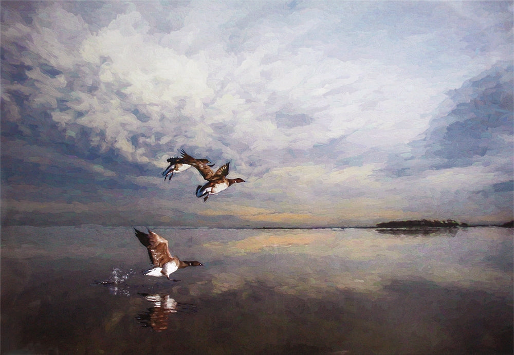 Co Down - Up And Away, Strangford Lough