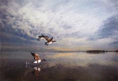 Co Down - Up And Away, Strangford Lough