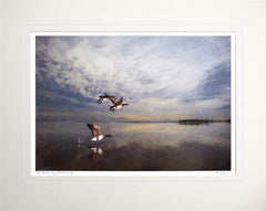 Co Down - Up And Away, Strangford Lough Unframed