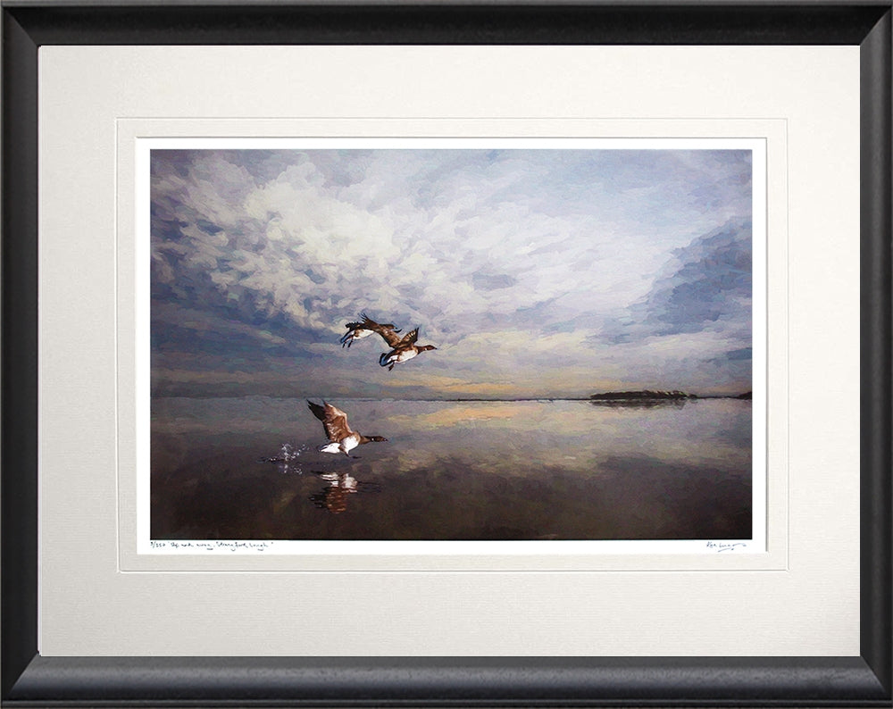 Co Down - Up And Away, Strangford Lough Black Bevelled Frame