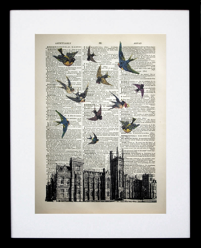 Vintage Birds Over Queen's University Belfast Black Frame