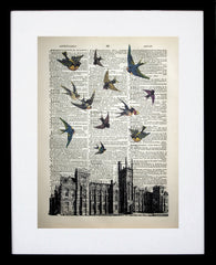 Vintage Birds Over Queen's University Belfast Black Frame