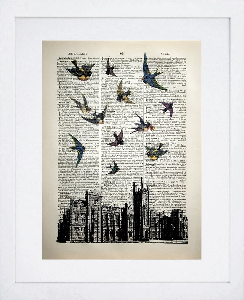 Vintage Birds Over Queen's University Belfast White Frame