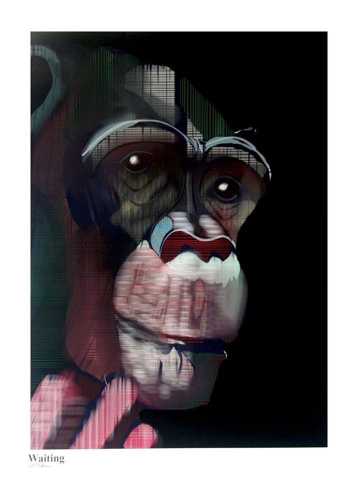 Ape Series - Waiting Unframed