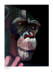 Ape Series - Waiting Unframed