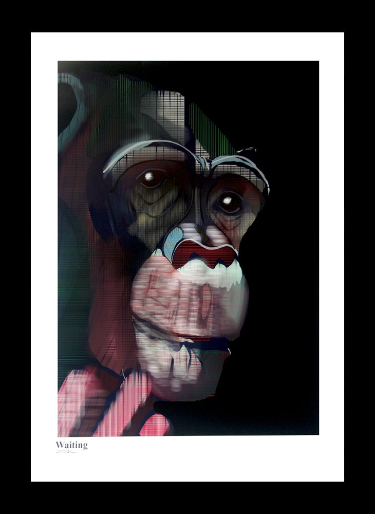 Ape Series - Waiting Framed